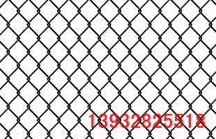 \FzW(wng)
