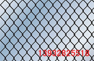 \FzW(wng)